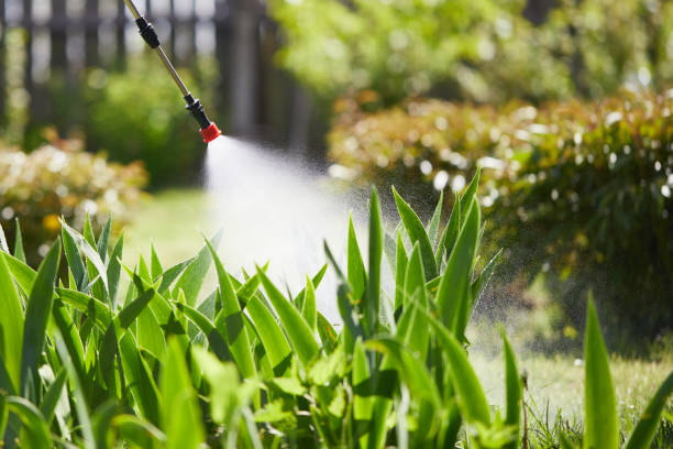 Tamper-Resistant Bait Stations for Rodents in James Island
