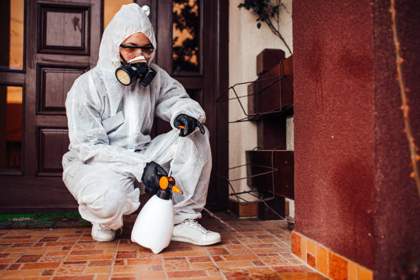 Attic and Crawl Space Rodent Treatment in James Island